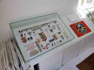 Hoy Insect Museum | JacobBarlow.com